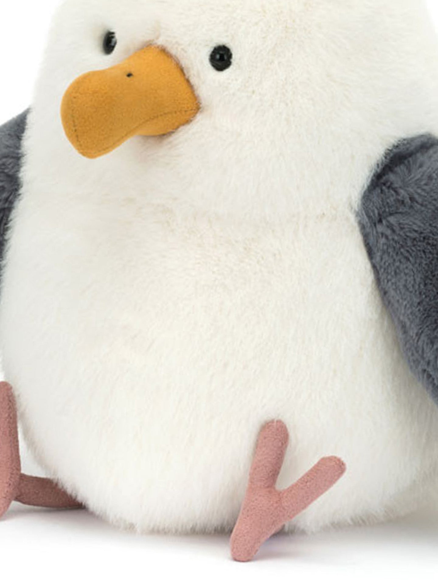 Chip Seagull