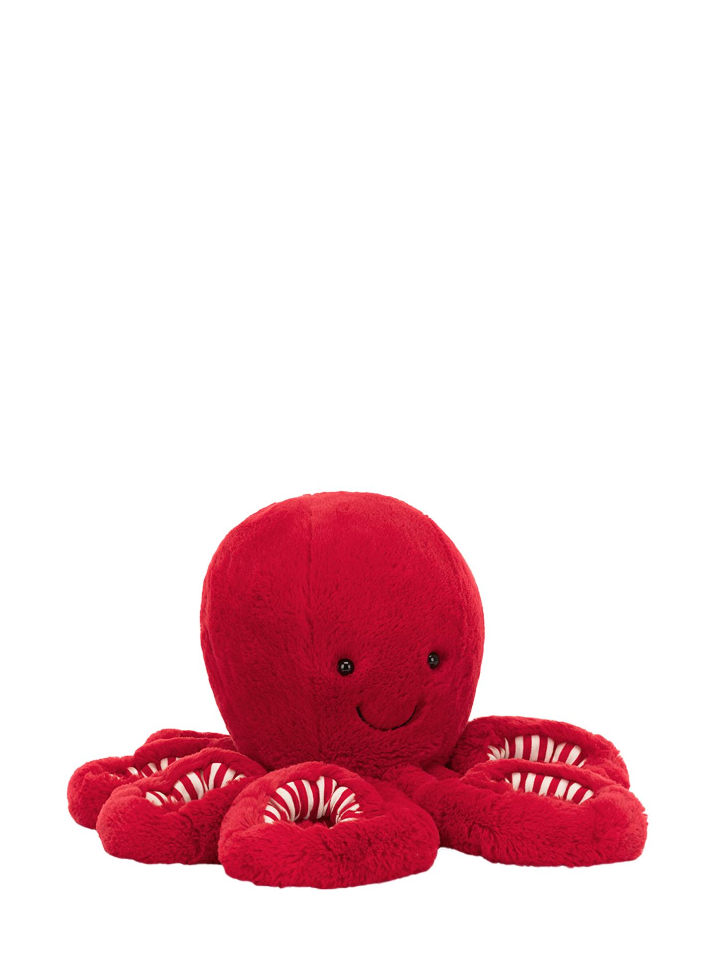 Cranberry octopus, large