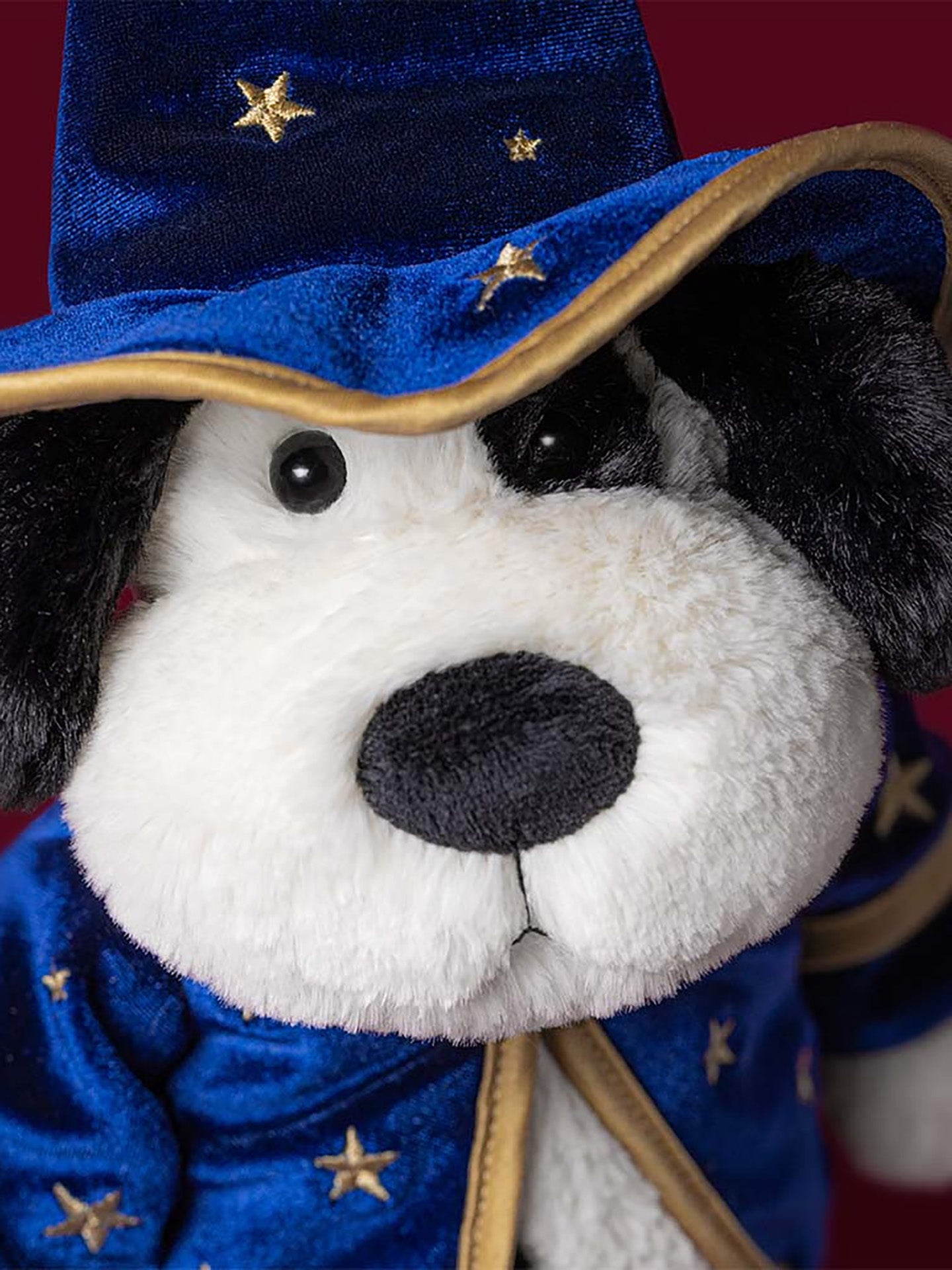 Rufferty wizard puppy