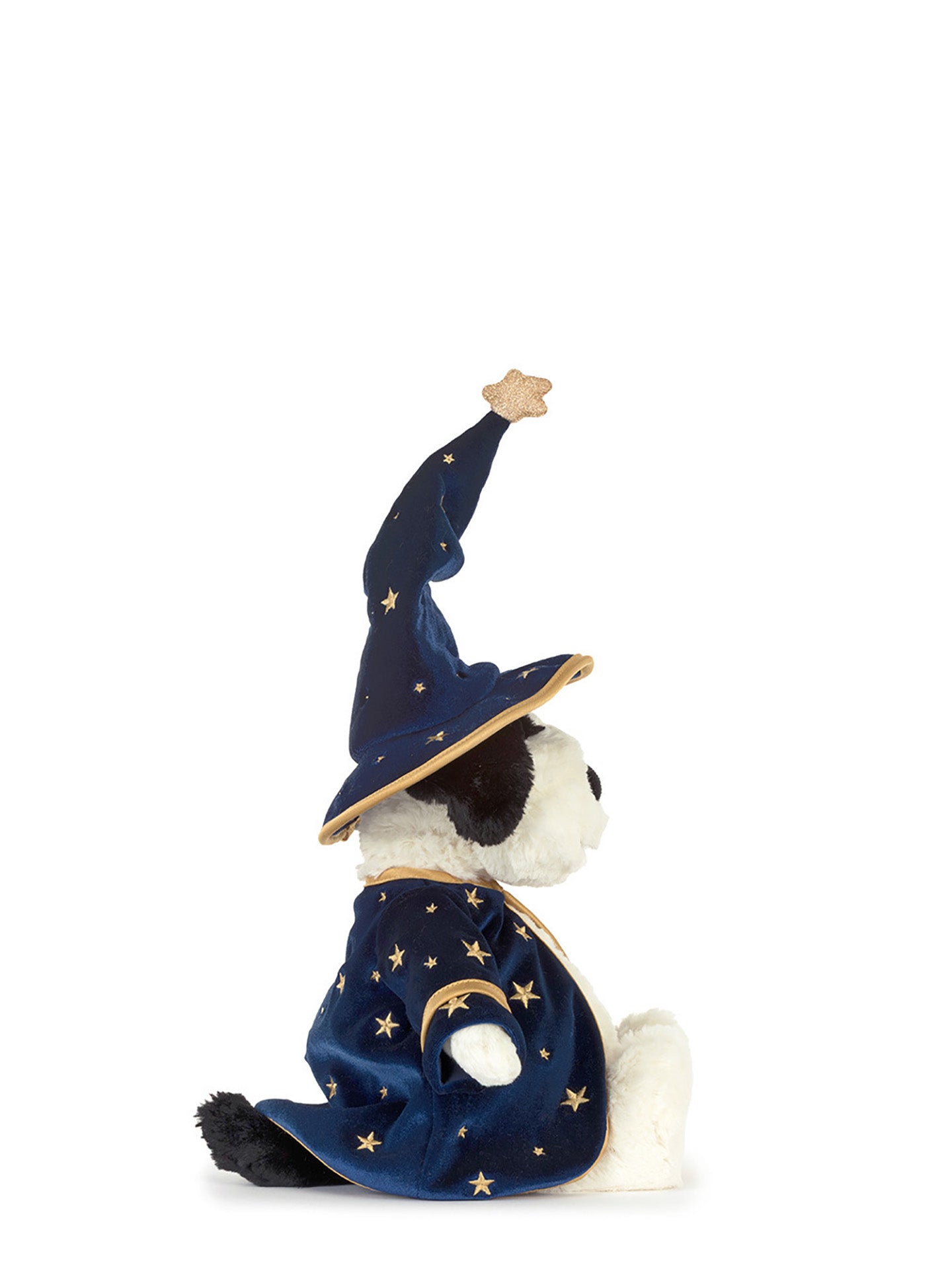 Rufferty wizard puppy