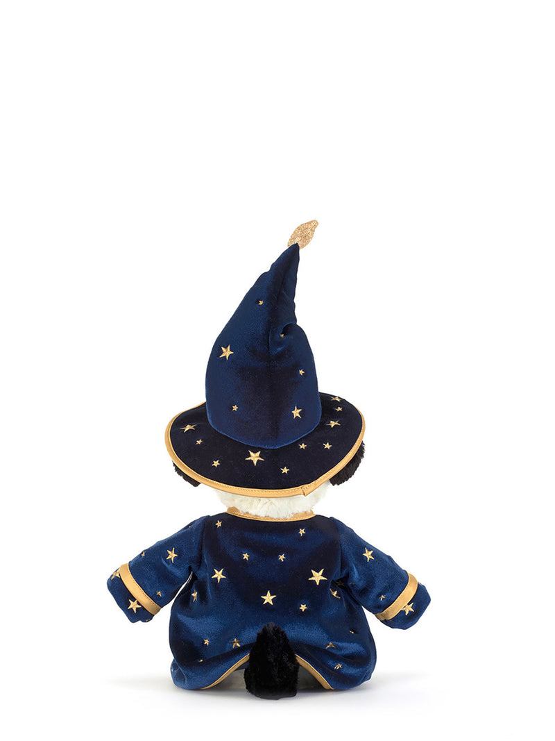 Rufferty wizard puppy