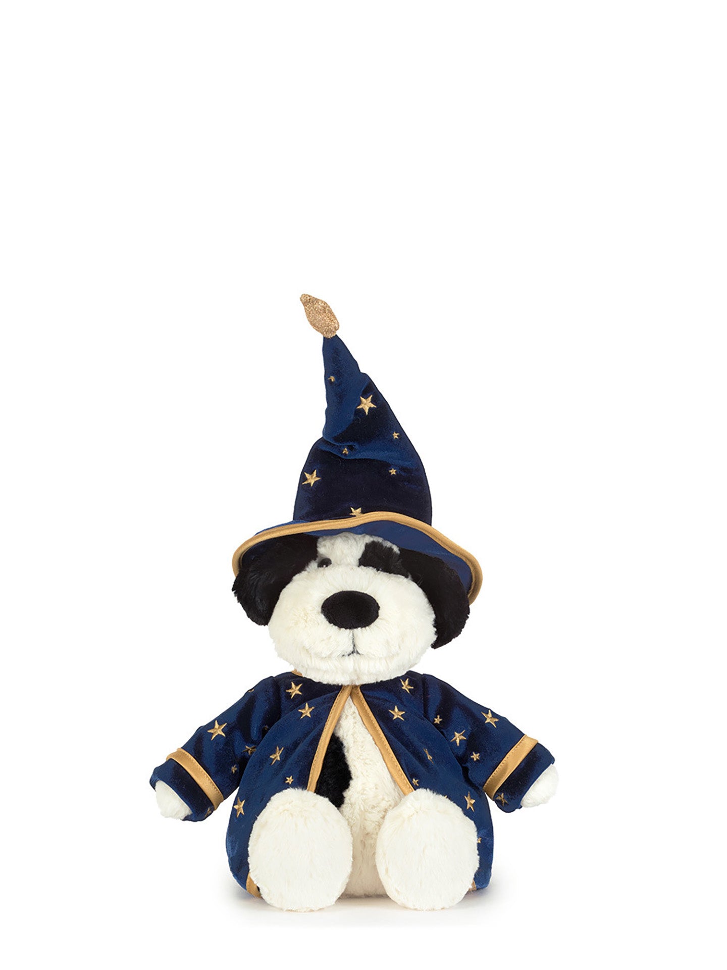 Rufferty wizard puppy