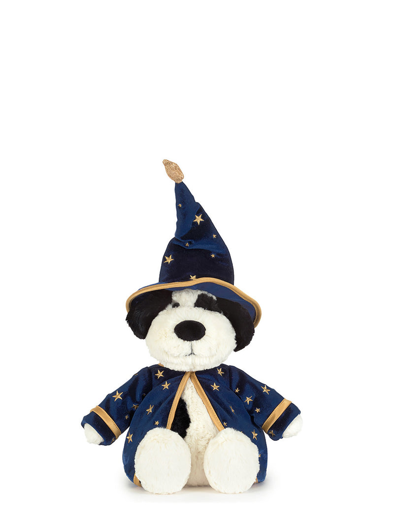 Rufferty wizard puppy