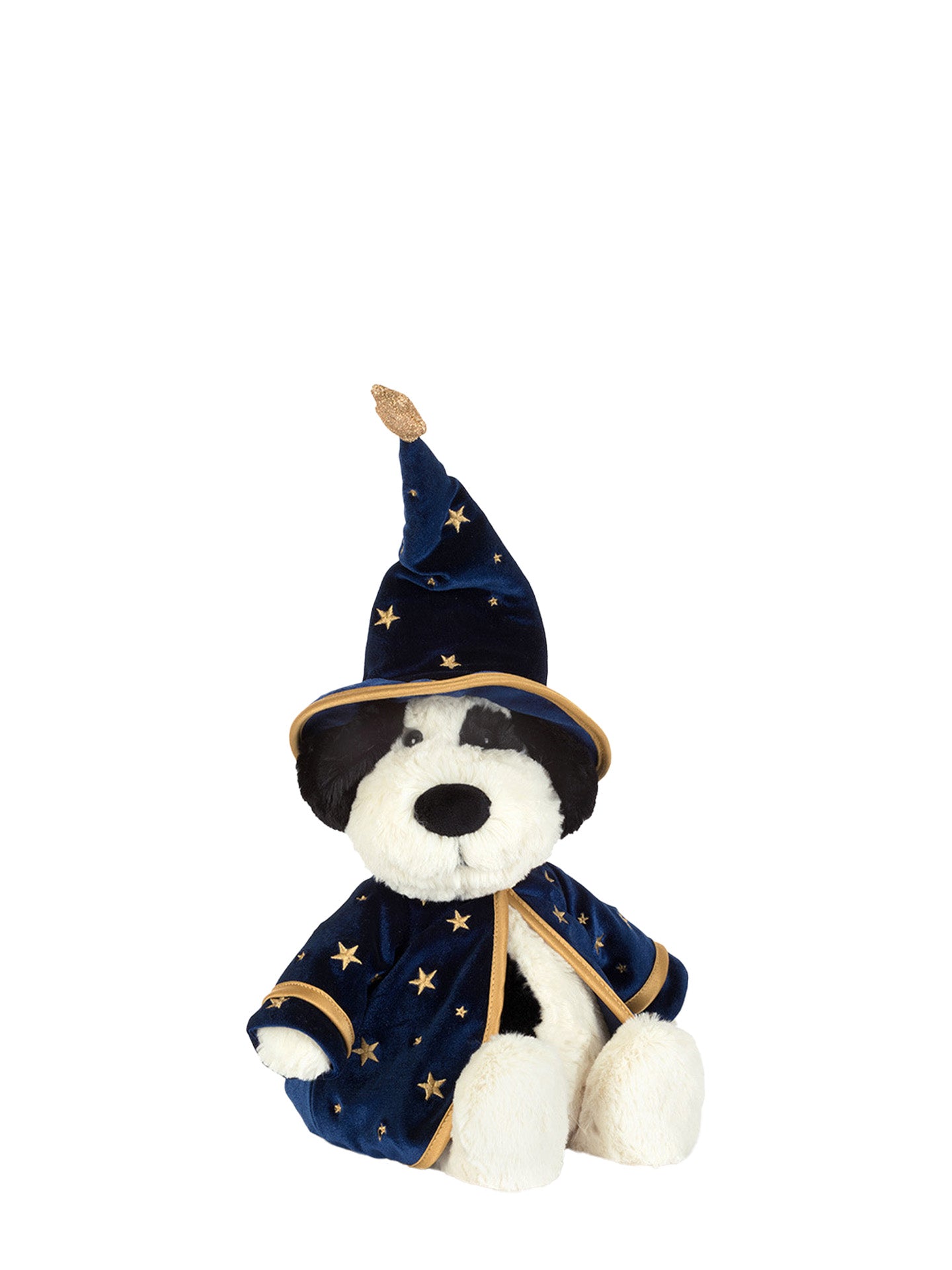 Rufferty wizard puppy