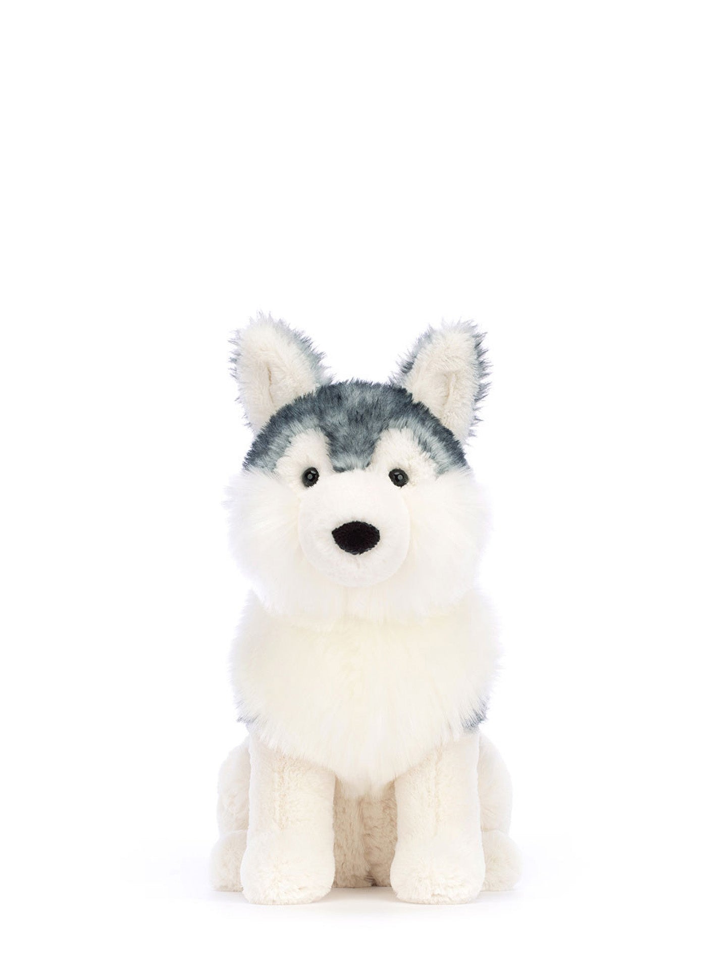 Jackson Husky (25 cm)