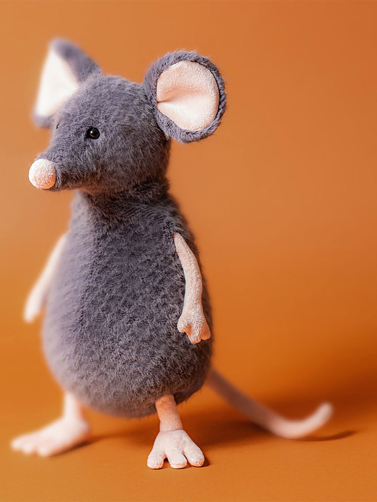 Lachlan Sad Rat