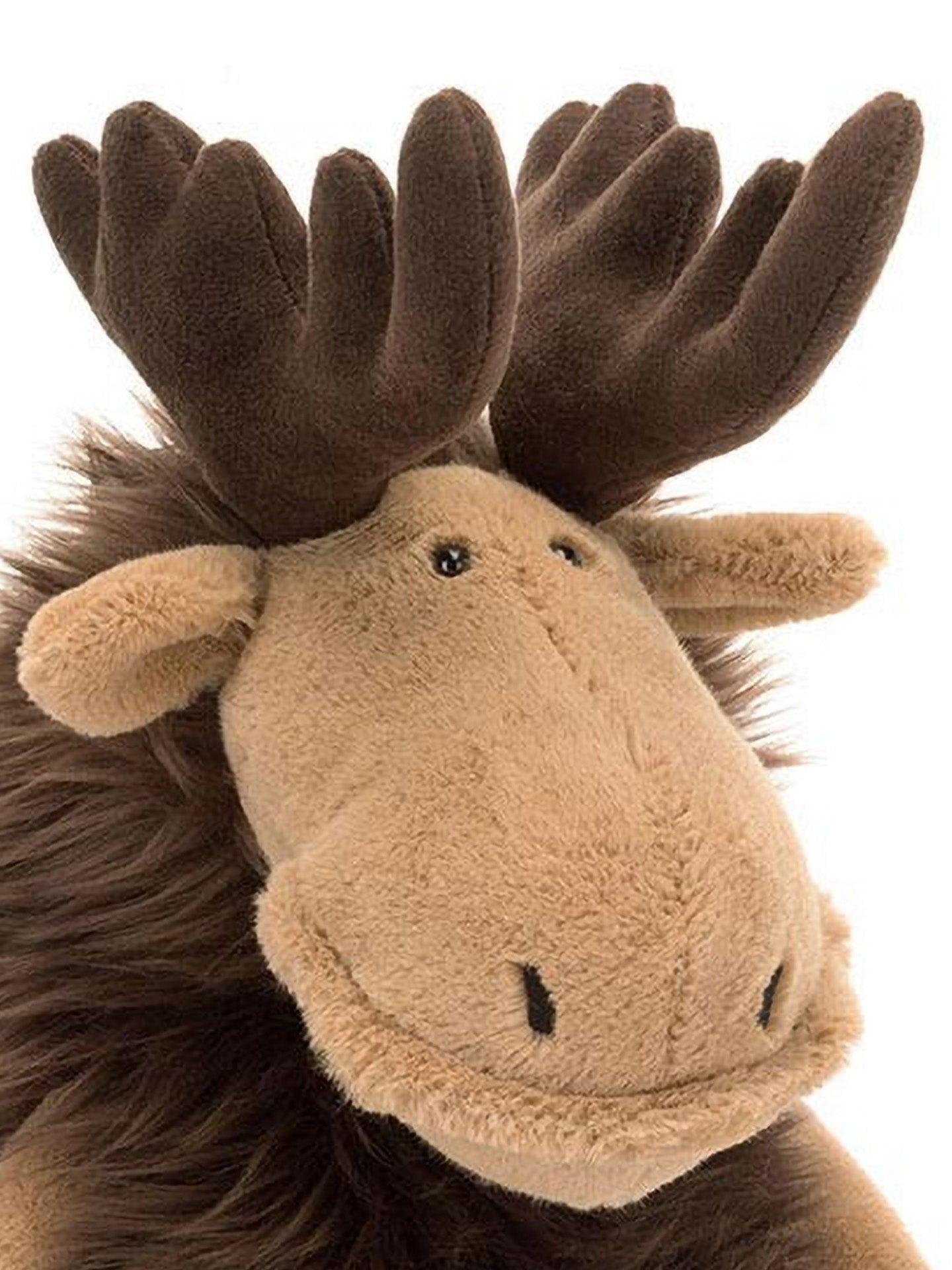 Merrick moose