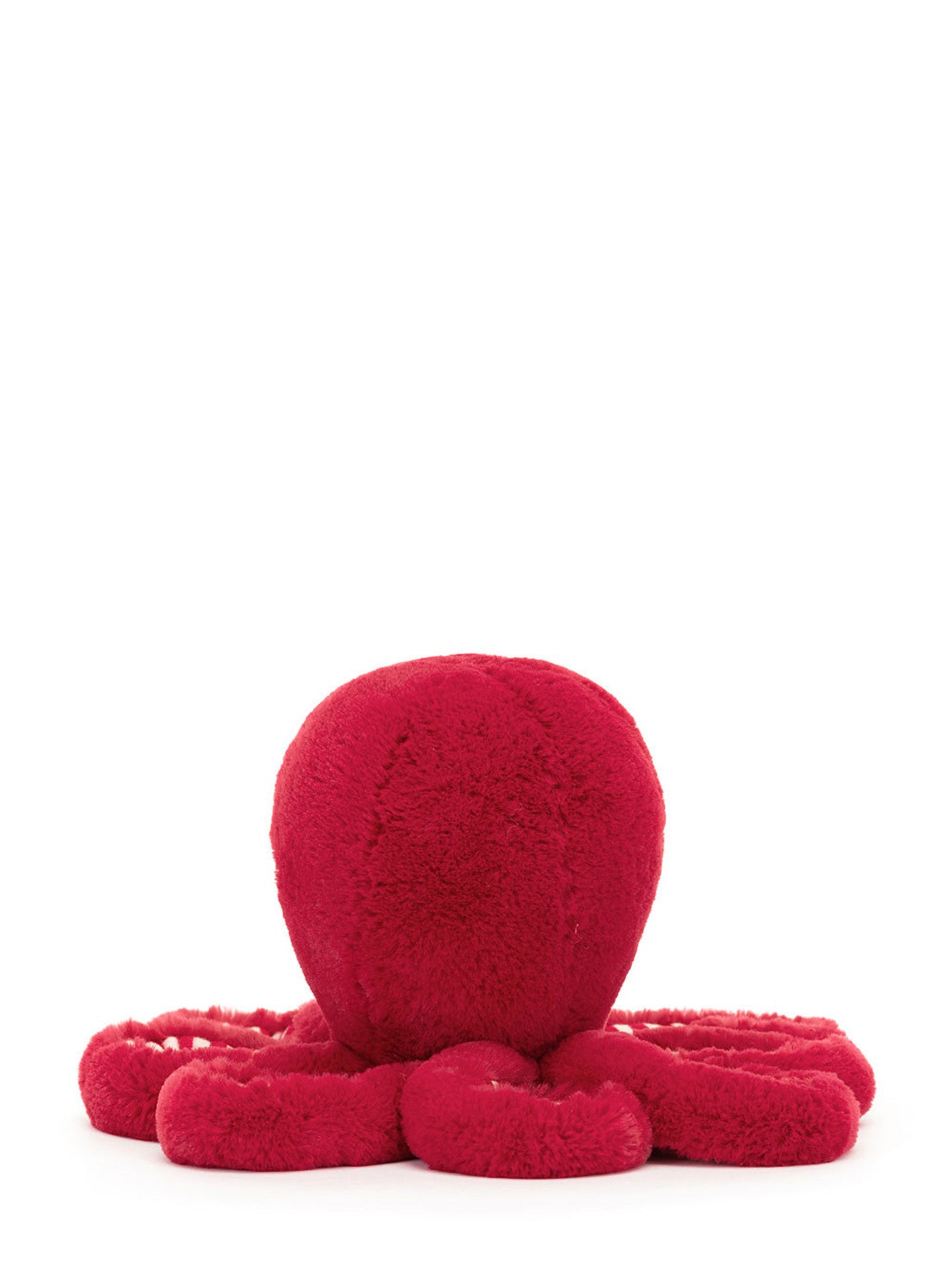 Cranberry Octopus, Little