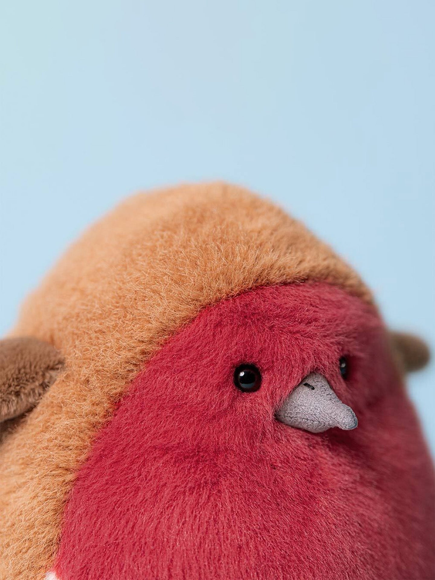 Plum Robin