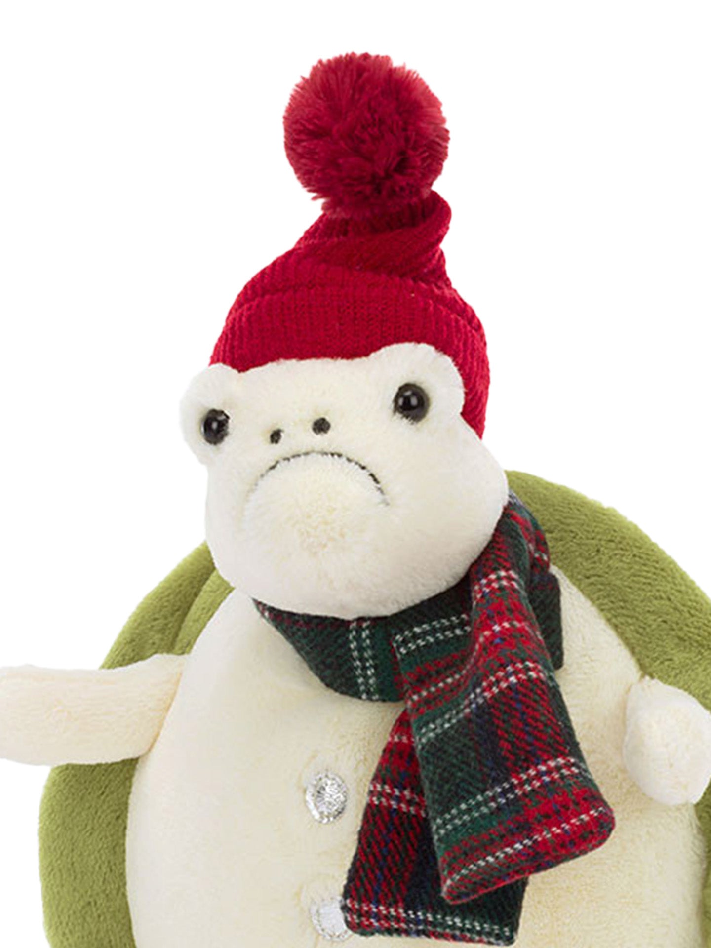 Snowman Timmy Turtle