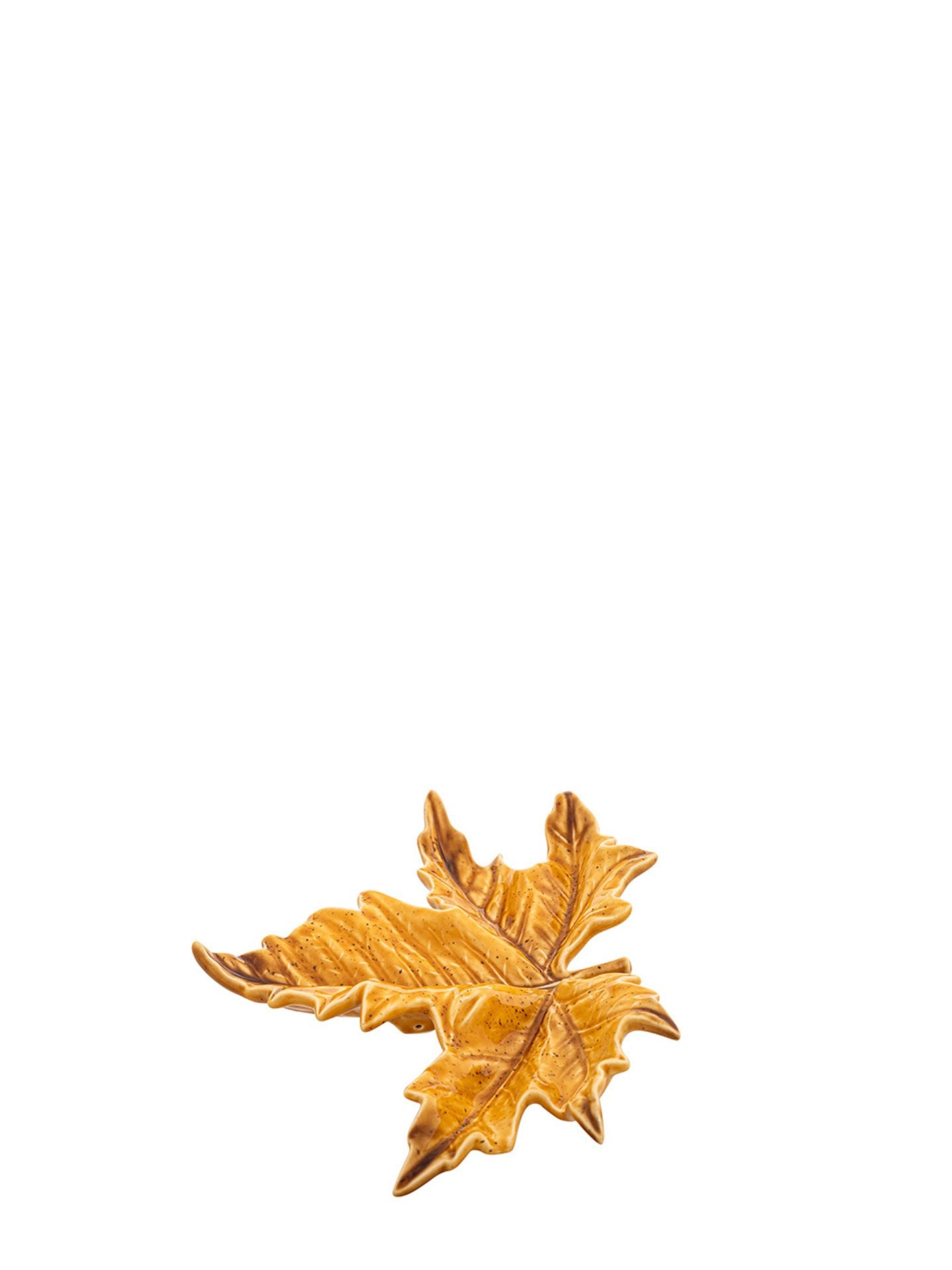 Sycamore yellow leaf, small