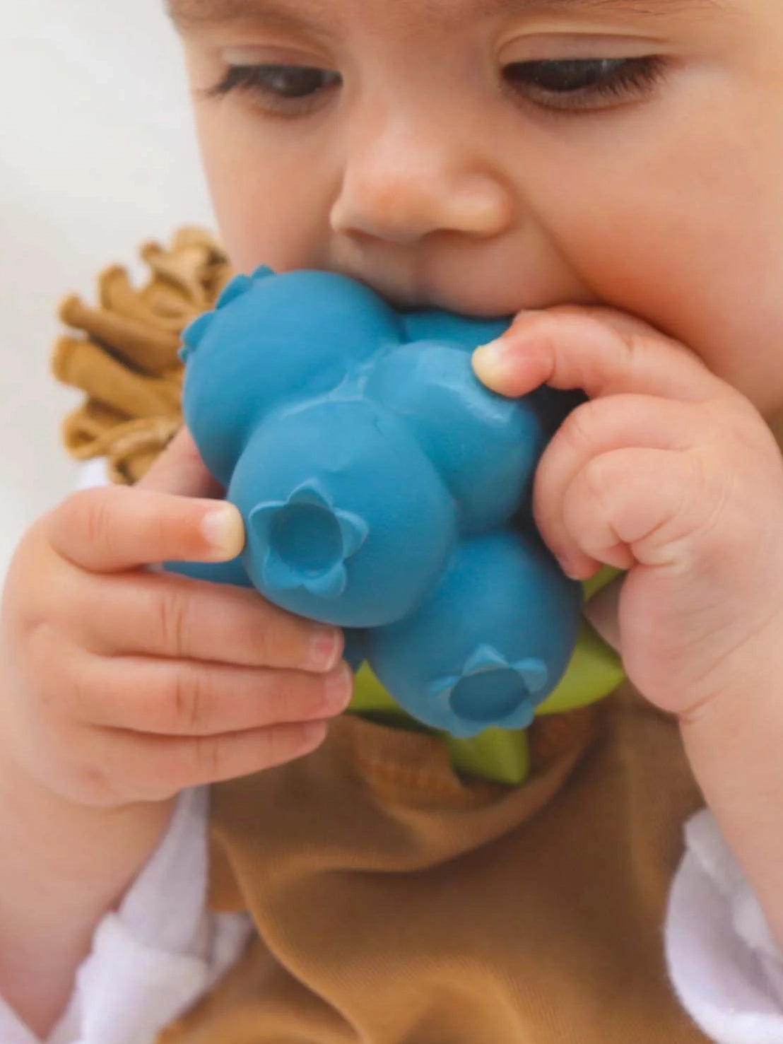 Jerry the Blueberry teether