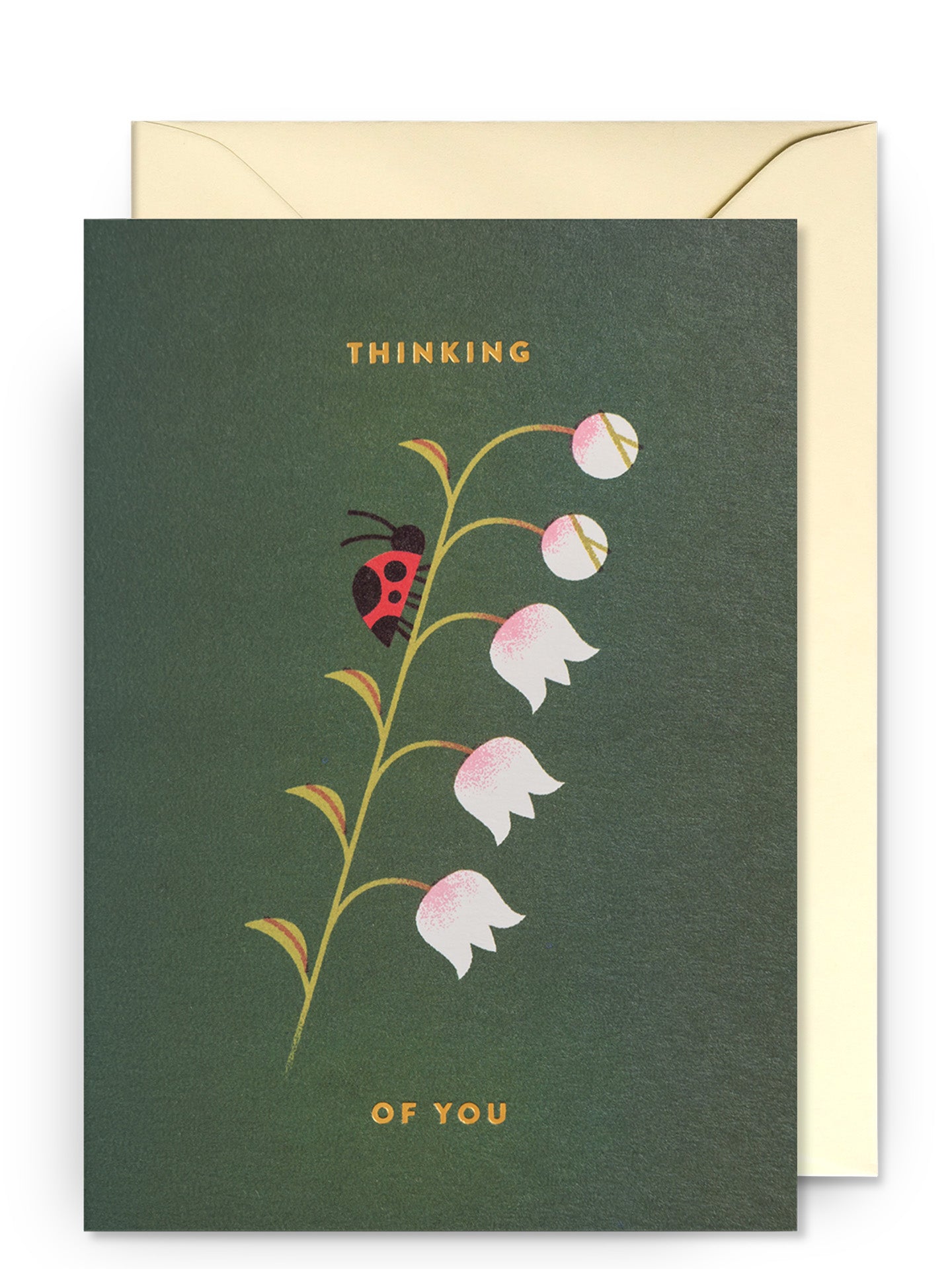 Thinking of ladybird illustrated love & friendship card