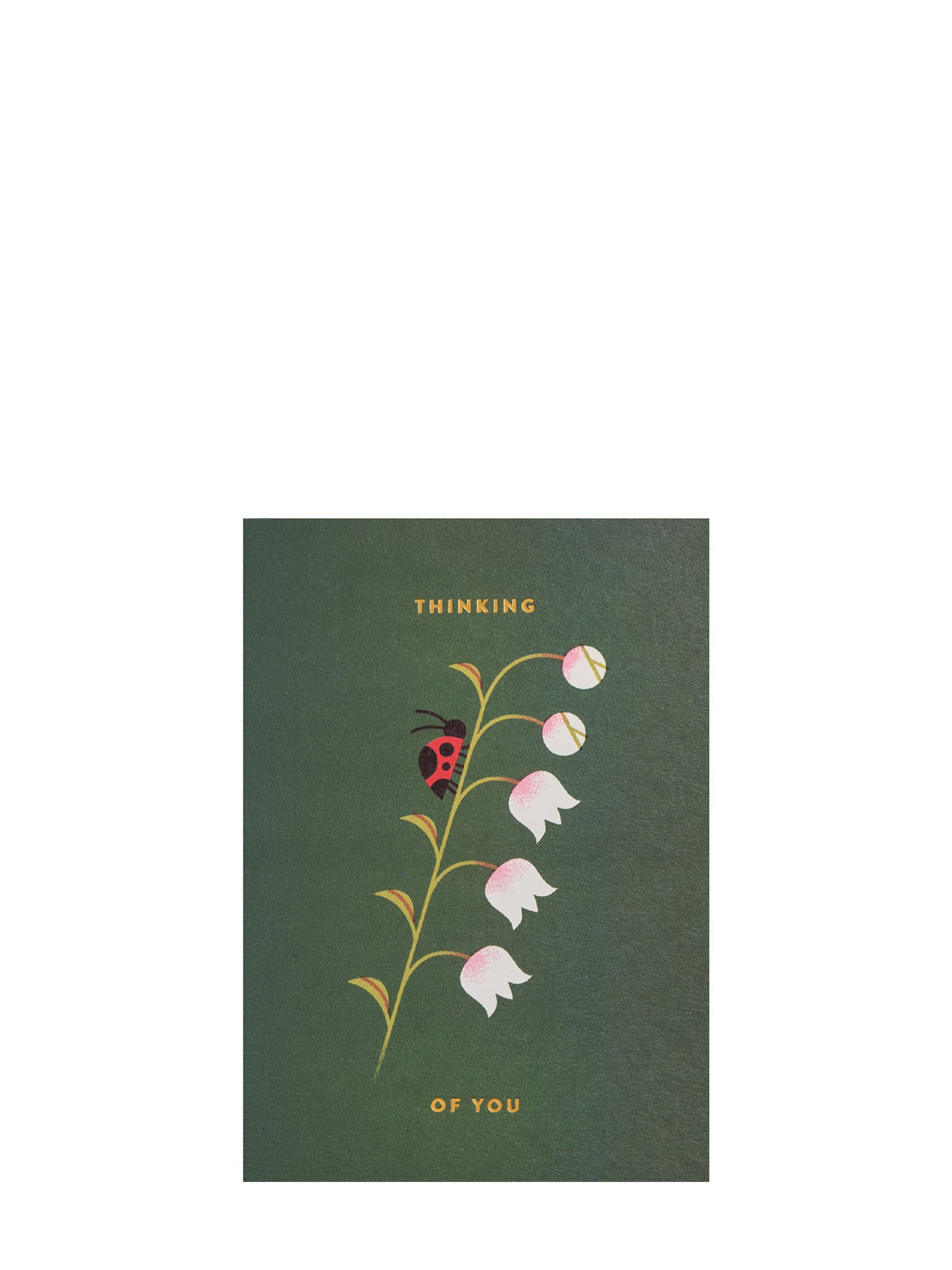 Thinking of ladybird illustrated love & friendship card