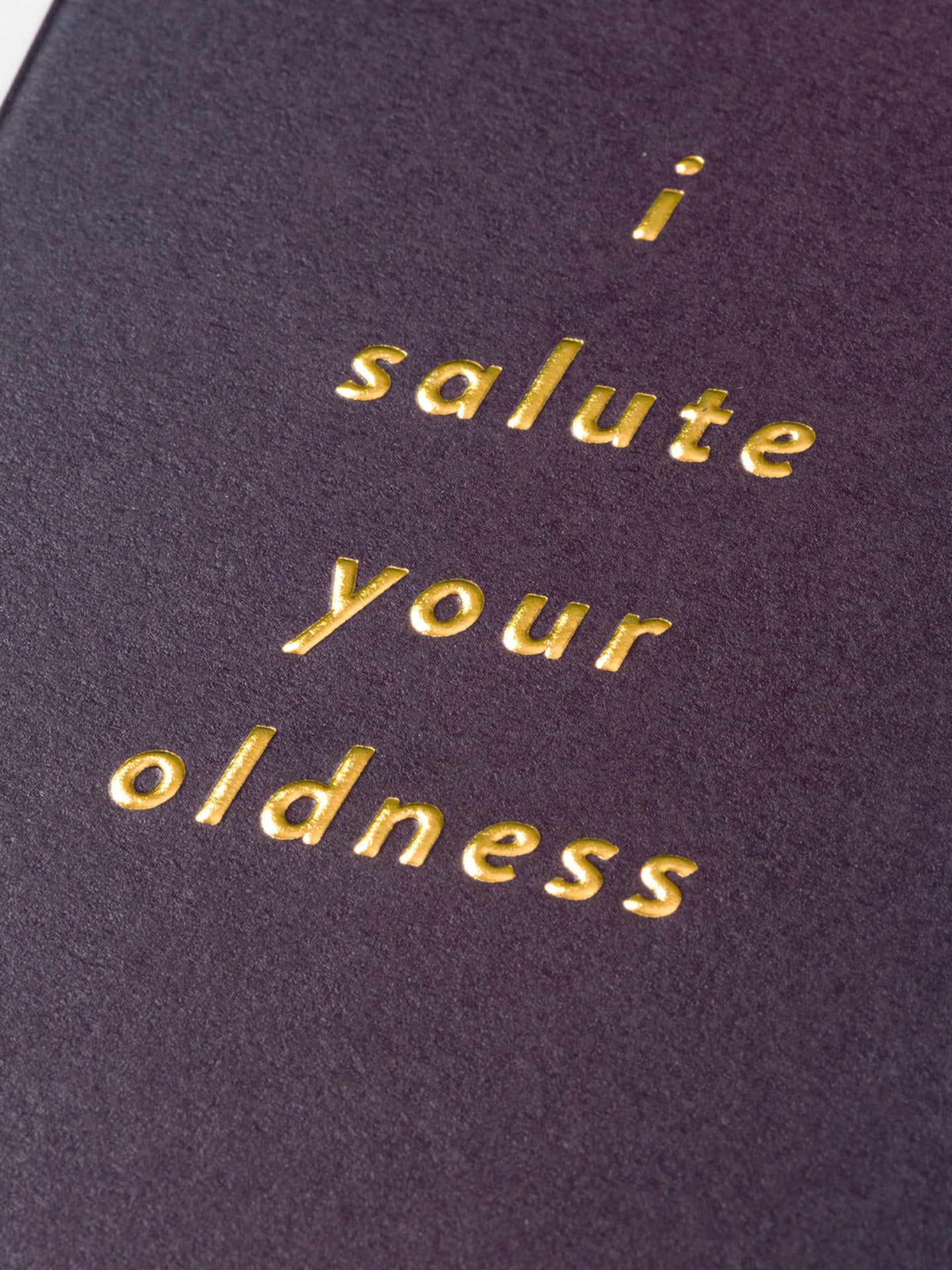 I Salute Your Oldness Birthday Card by Cozy