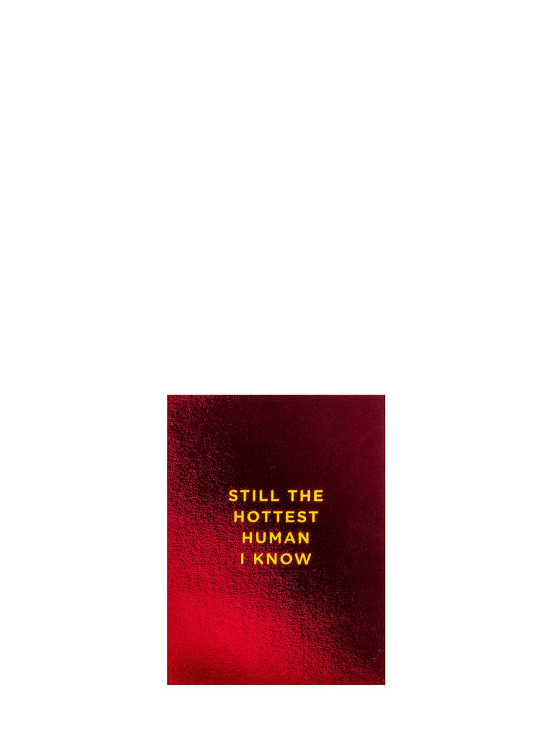 Red metallic shiny mini greeting card with gold text on a white background: STILL THE HOTTEST HUMAN I KNOW.