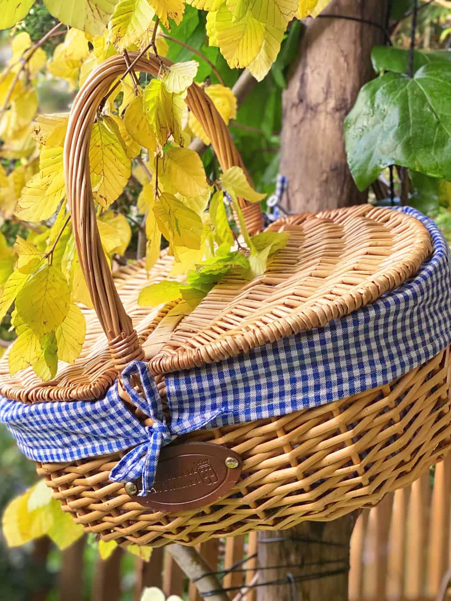 Picnic Basket, Vichy Bleu