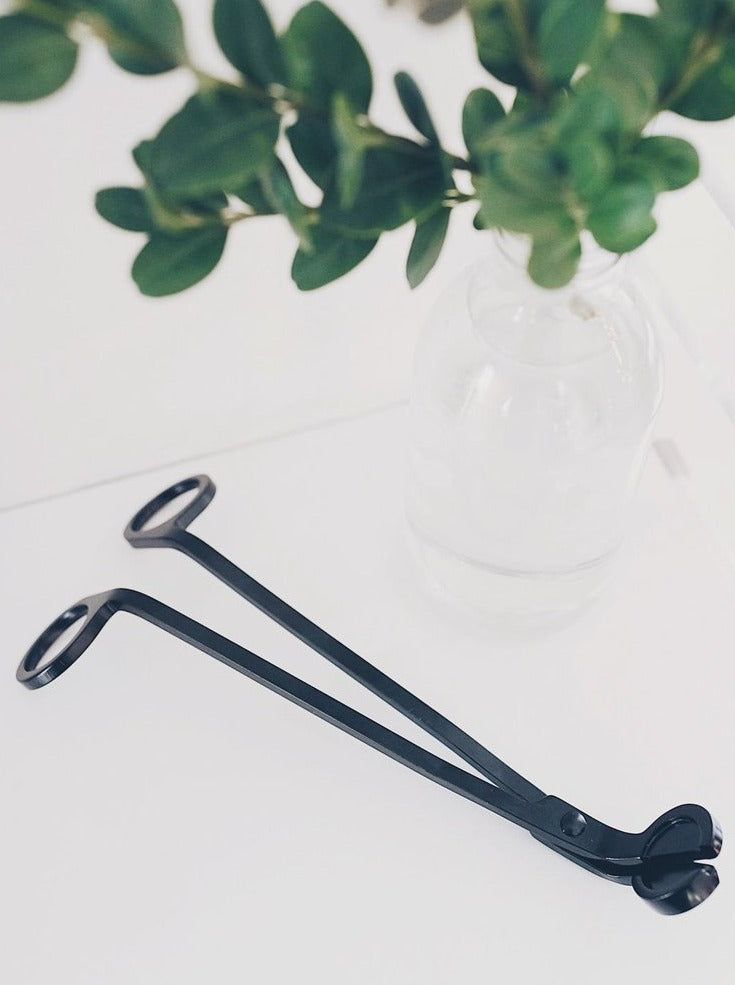 Wick trimmer