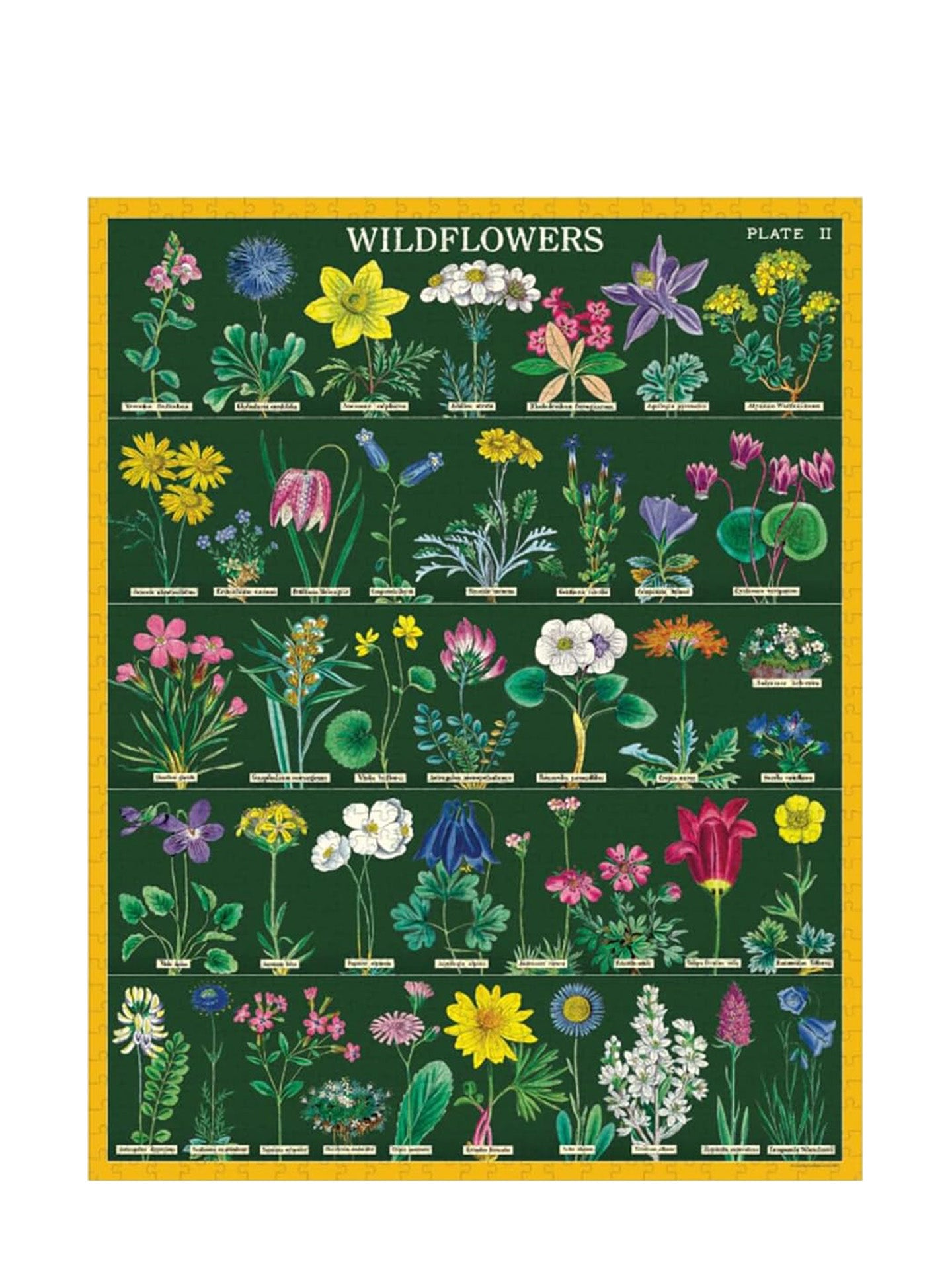 Wildflowers vintage puzzle (1000 pieces)