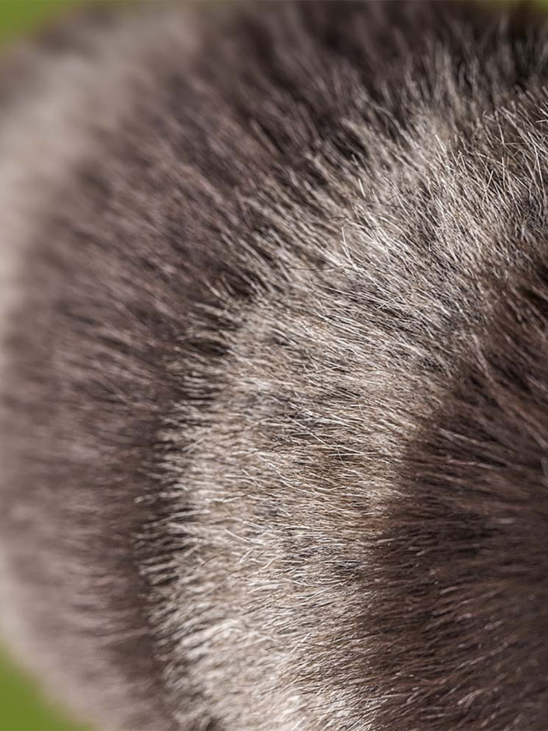 Trixiwoo raccoon, soft toy