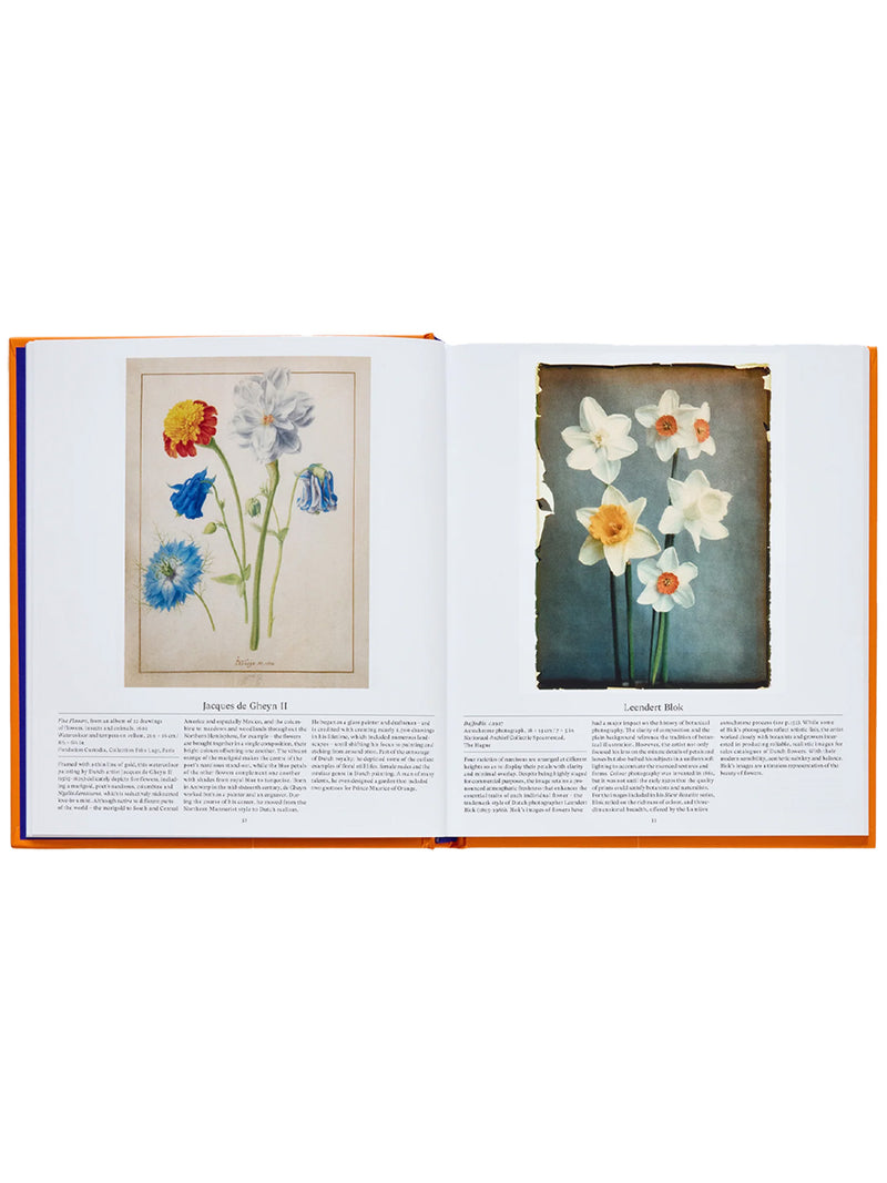 Open book showing vintage illustrations of flowers on a white background