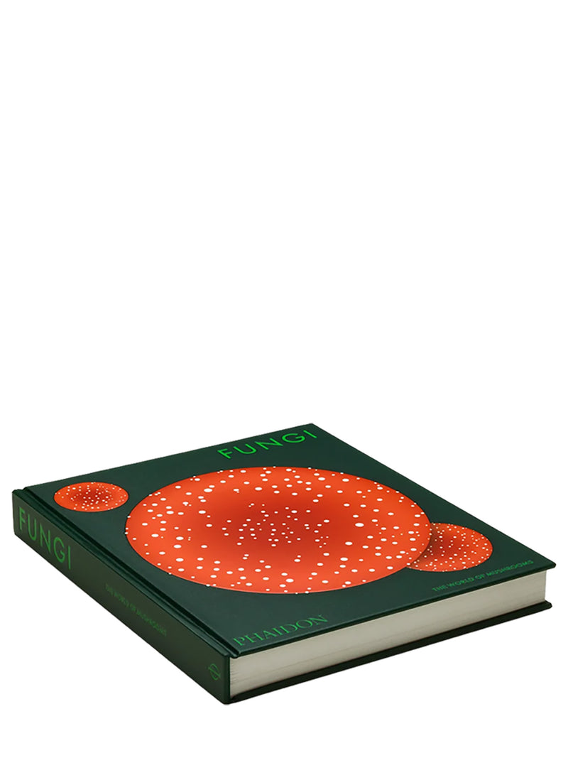 Fungi – The World of Mushrooms