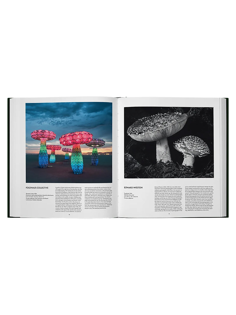 Fungi – The World of Mushrooms