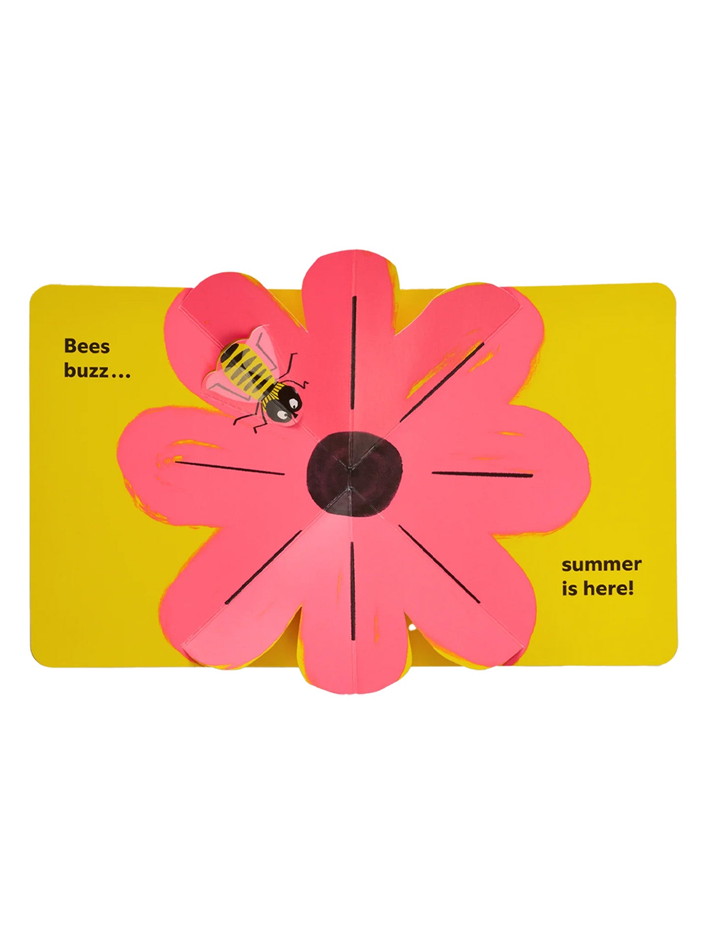 Summer Pops Up! pop-up book