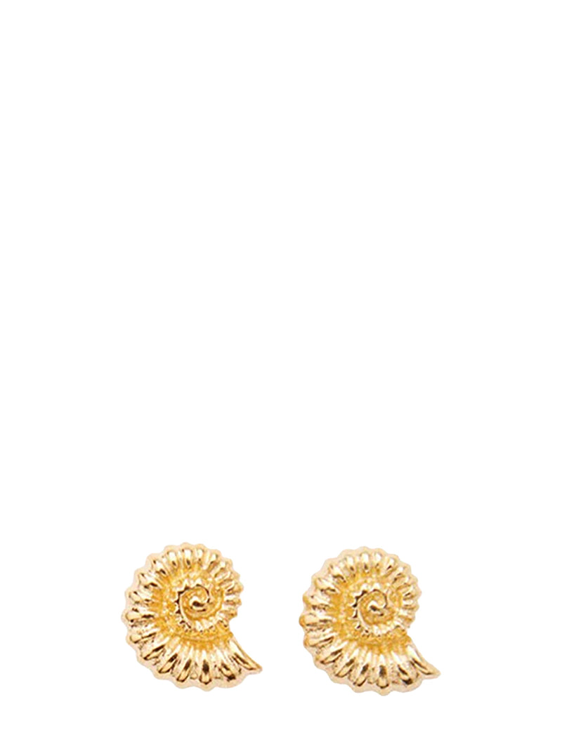 Caracol seashell stud earrings, gold