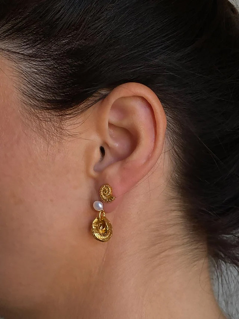 Caracol seashell stud earrings, gold