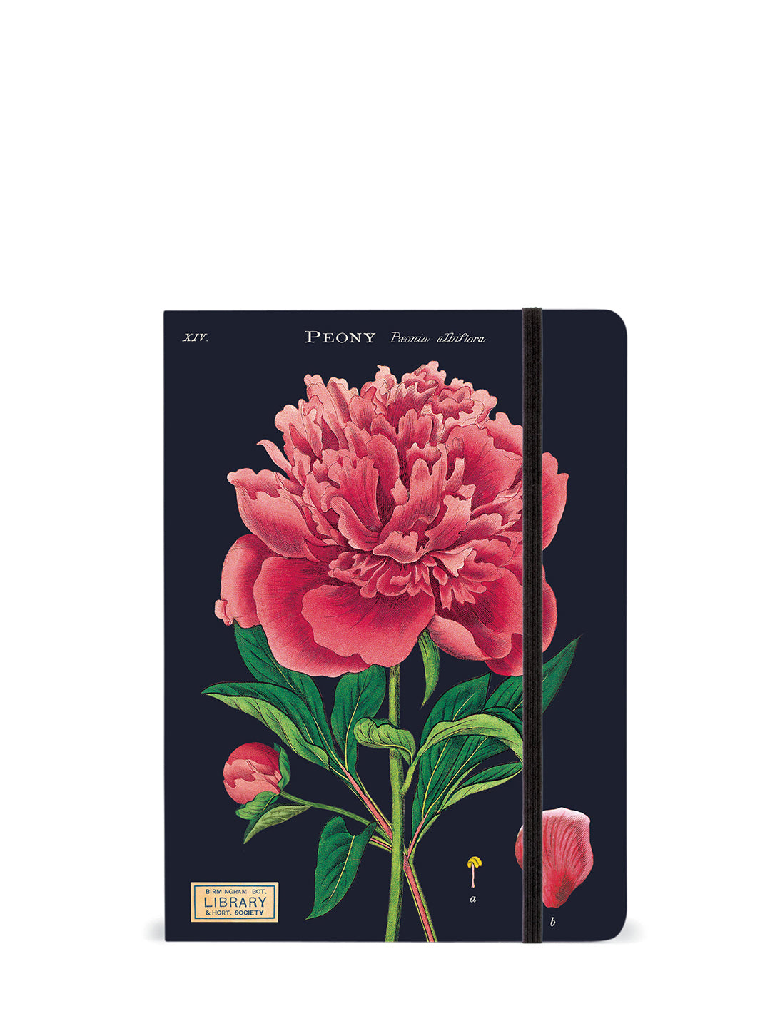 Botany Notebook (large)