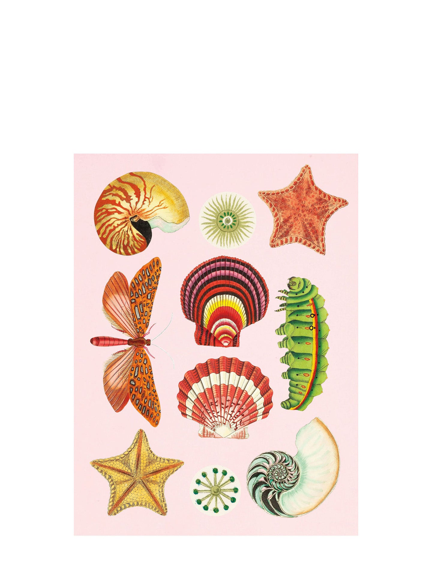 Antiquarian Sticker Book