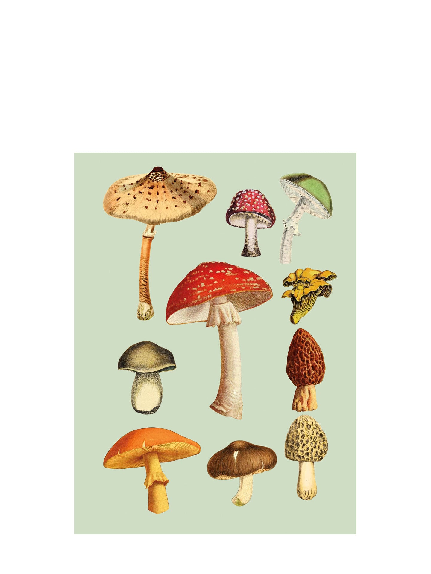 Antiquarian Sticker Book