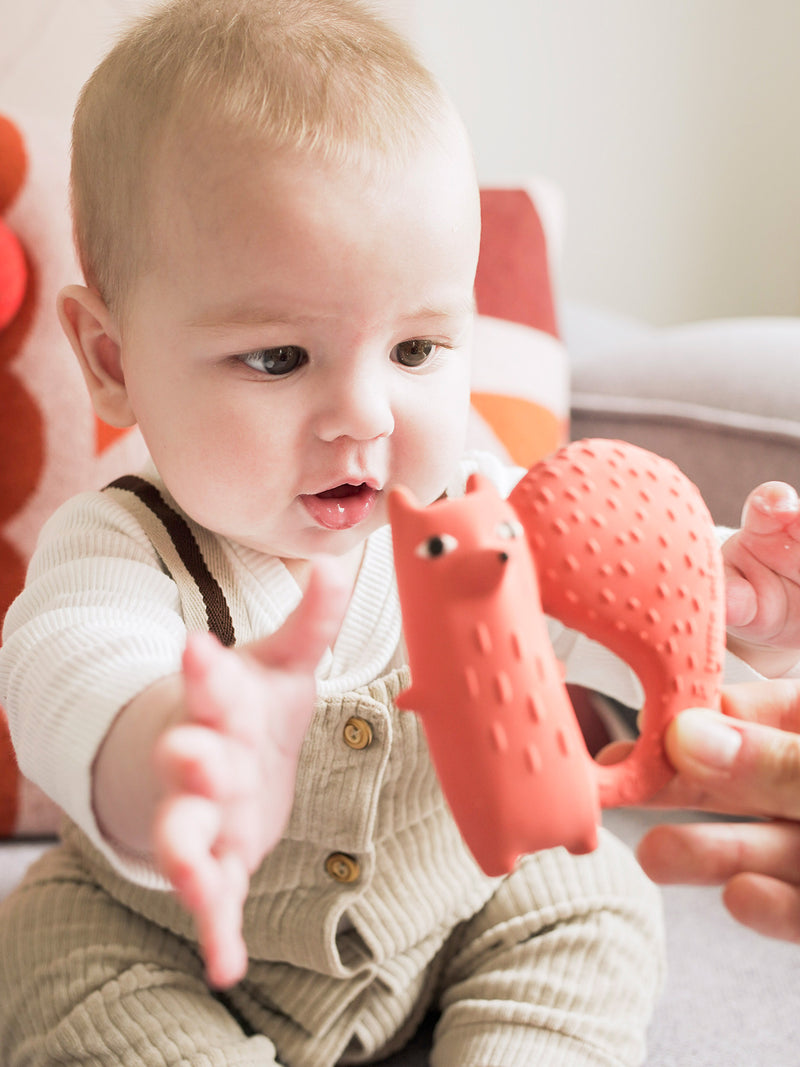 Cyril Squirrel baby teether