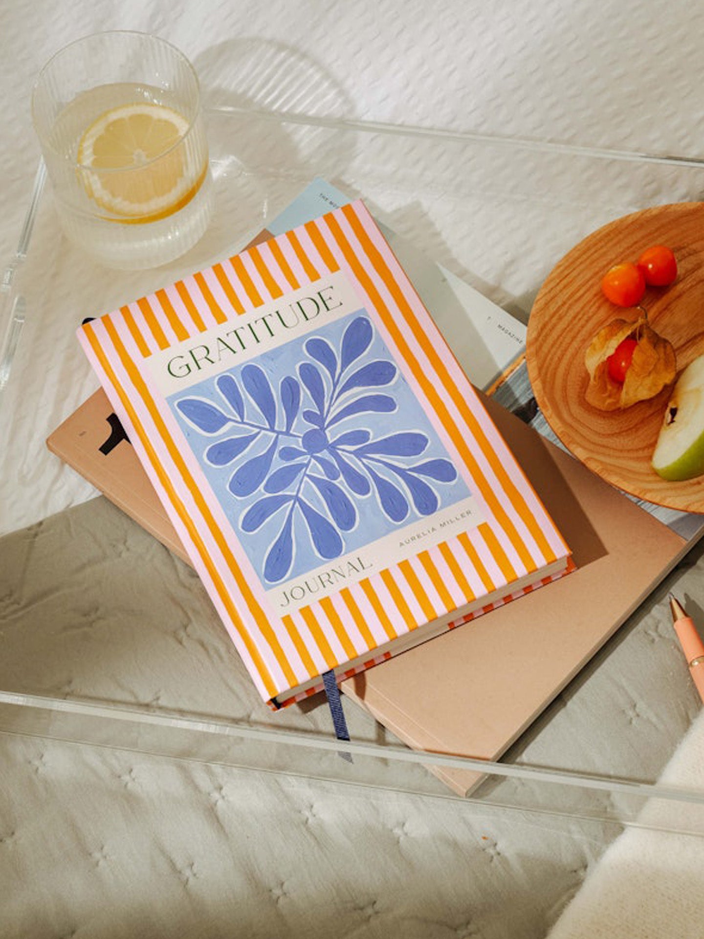 Stay grounded gratitude journal