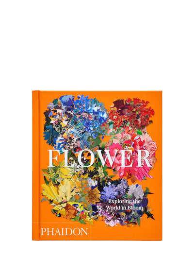 Flower: Exploring the World in Bloom