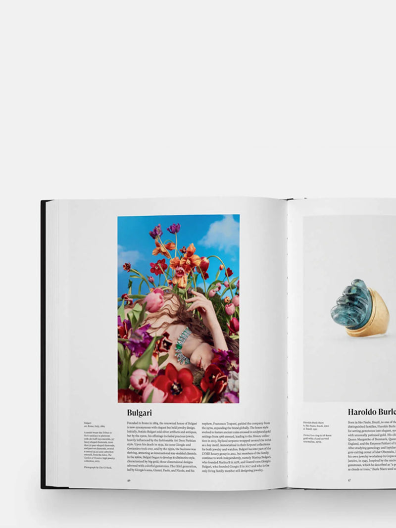 The Jewelry book