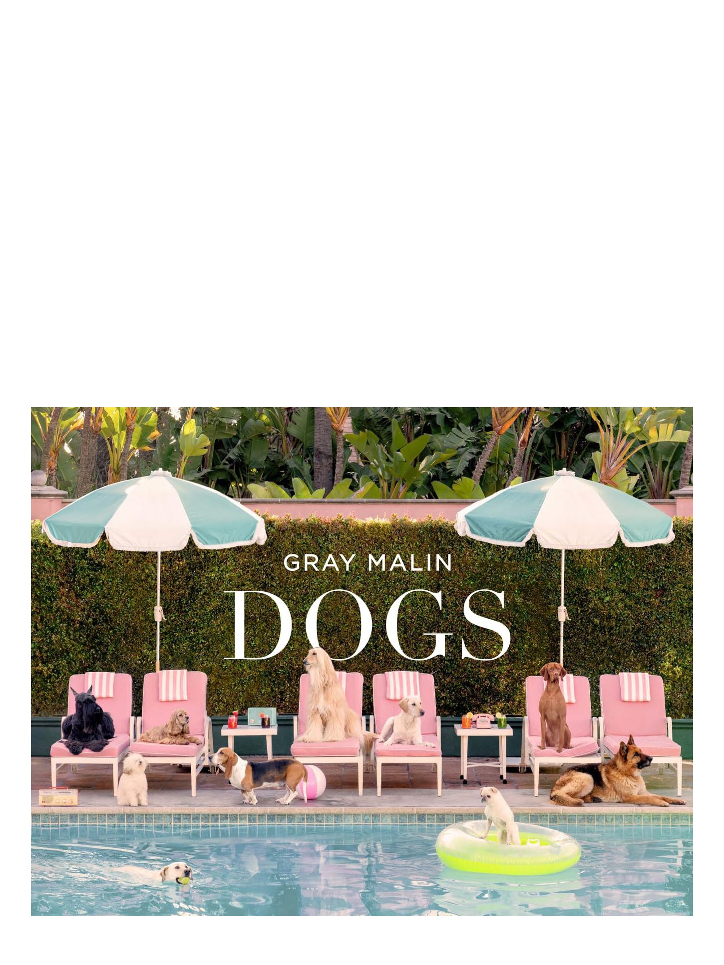 Cover of the book 'Gray Malin: Dogs' featuring a photograph of a dog with pool umbrellas and chairs in the background.