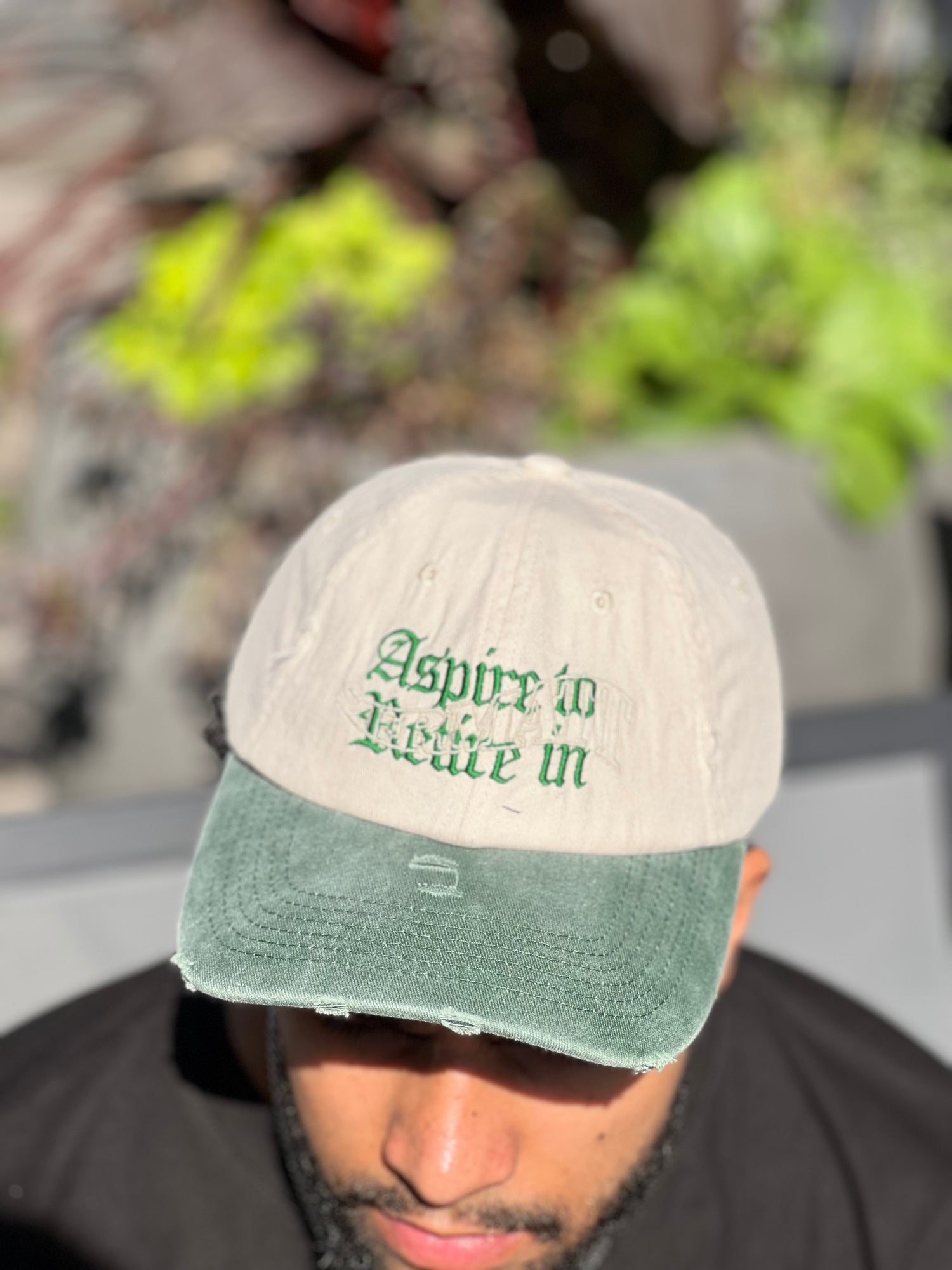 Aspire to Retire cap, beige/washed green