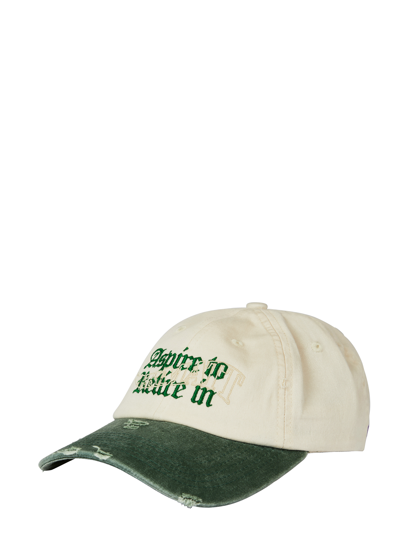 Aspire to Retire cap, beige/washed green