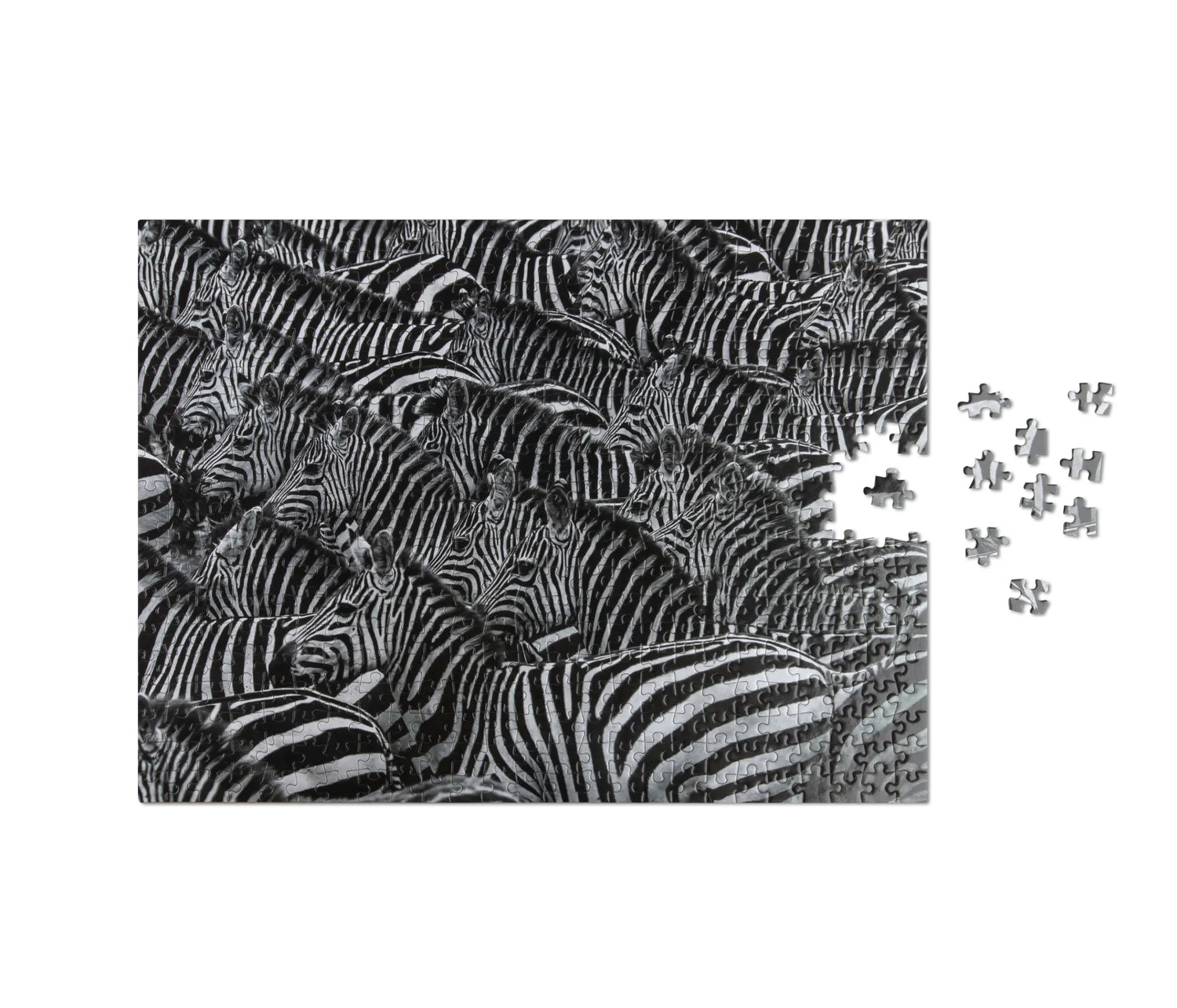 Zebra puzzle, 500 pieces