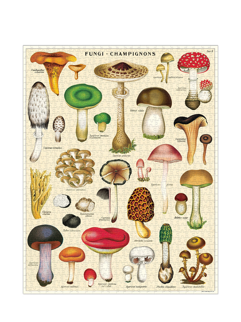 Mushrooms vintage puzzle (1000 pieces)