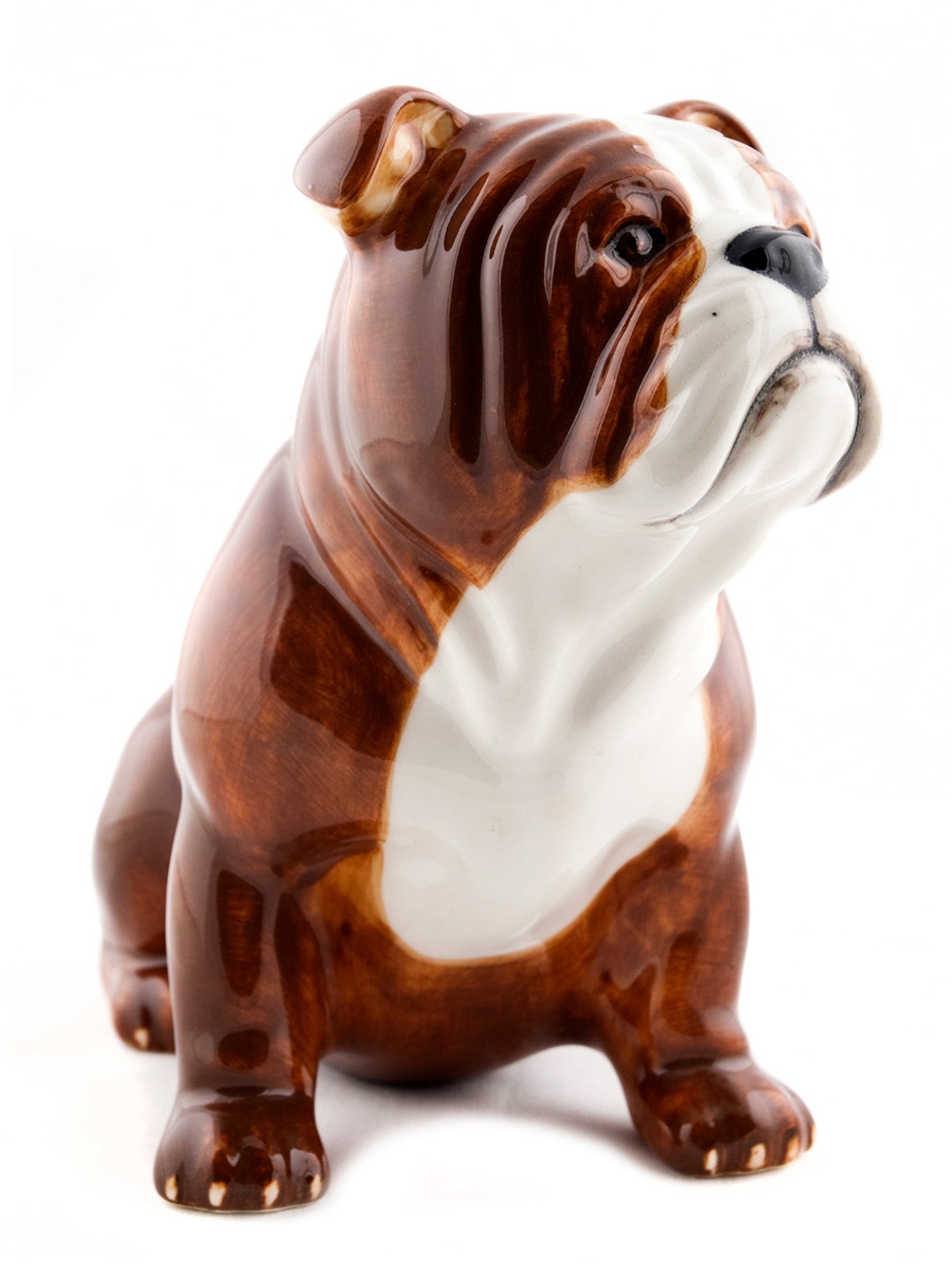 English bulldog money box