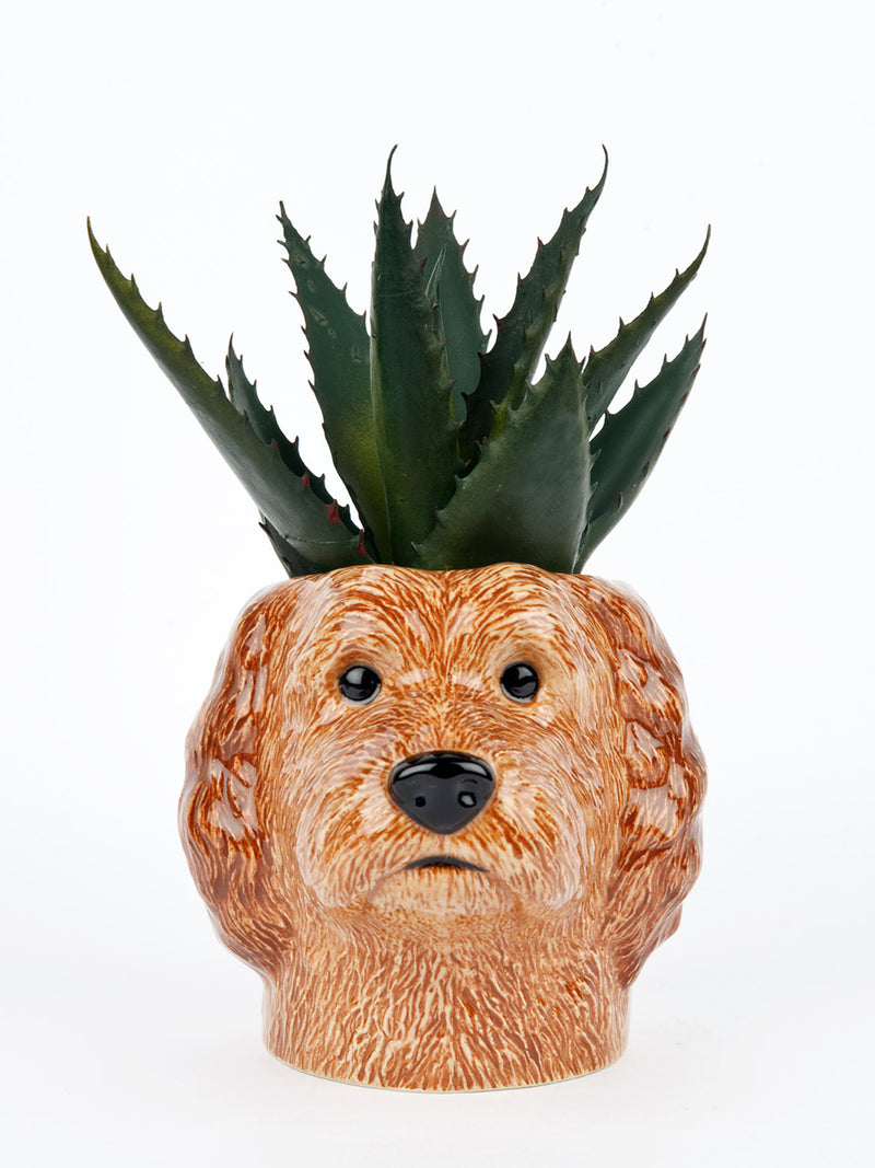 Cockapoo dog pencil pot, apricot beige