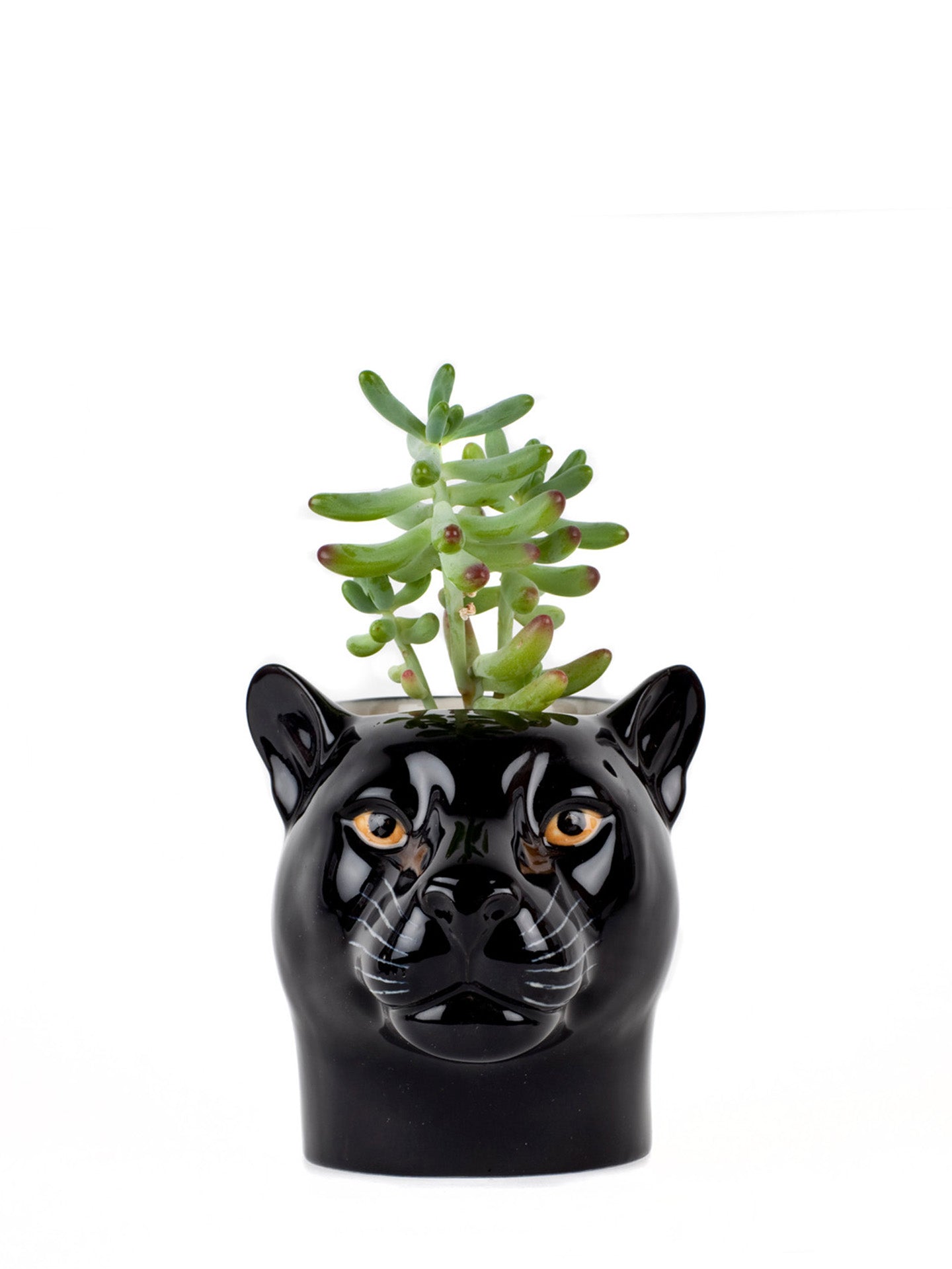 Black panther pencil pot
