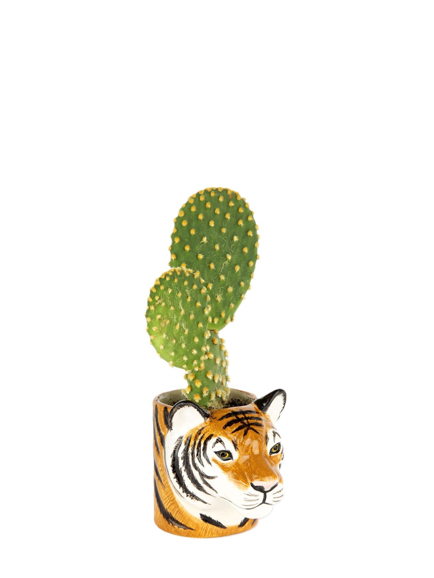 A small green prickly pear cactus in a cylindrical ceramic pot shaped like a tiger's head, shown on a plain white background.