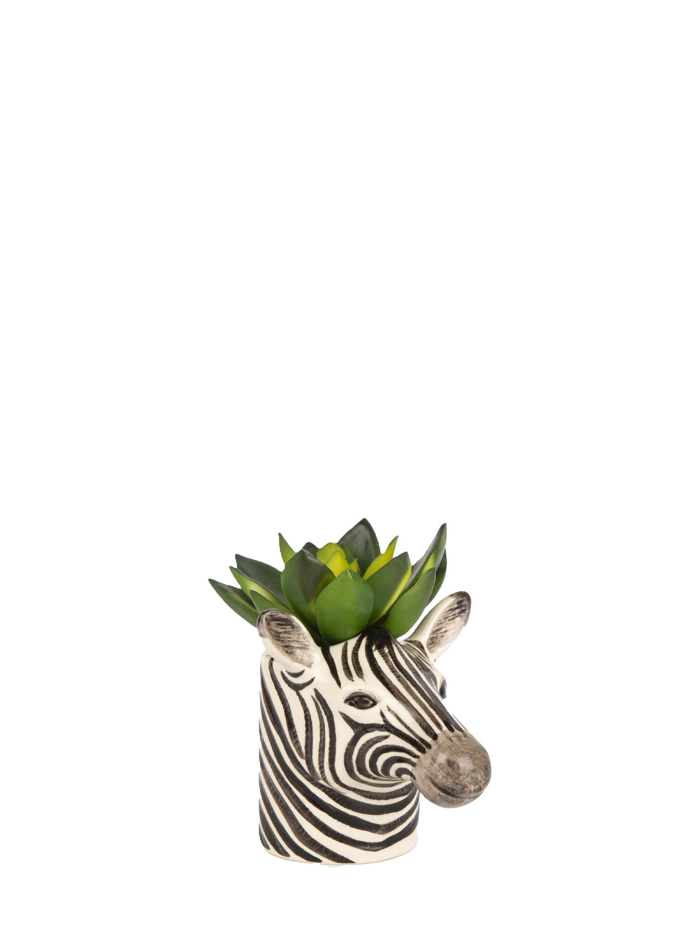 A small zebra-head pot with black and white stripes, holding a green succulent plant, isolated on a white background.