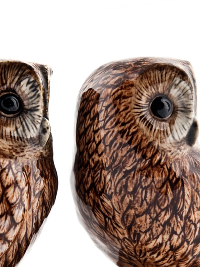 Owl salt and pepper shaker set