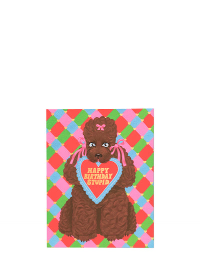 Birthday Poodle, Birthday Card