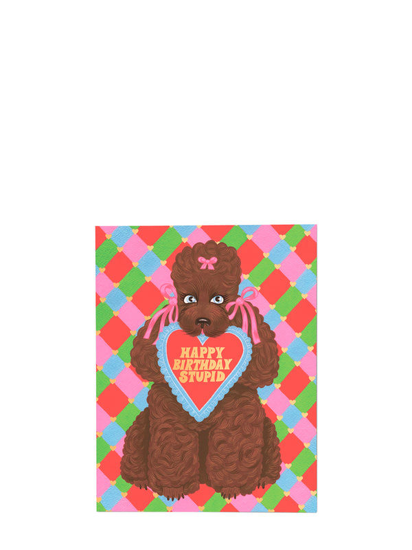 Double greeting card with a brown French poodle dog with bows in both ears, holding a heart-shaped 'Happy Birthday Stupid' sign on a colorful checkered background